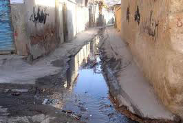 سعدی،همچنان در انتظار توجه! سعدی،همچنان در انتظار توجه!