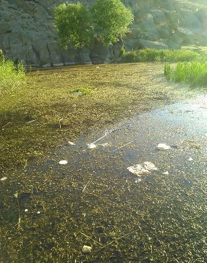 خطر نابودی سراب بلاغ حک در شهرستان شازند+تصاویر خطر نابودی سراب بلاغ حک در شهرستان شازند+تصاویر