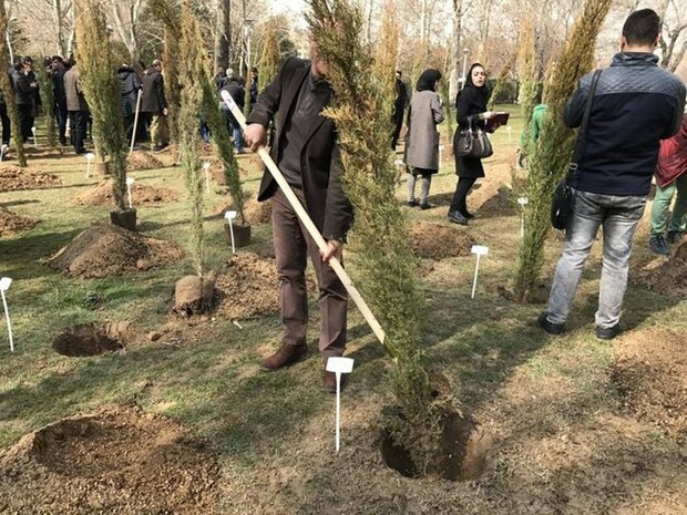 غرس ۱۰۰۰ اصله نهال توسط مجرم محیط زیست در تاکستان