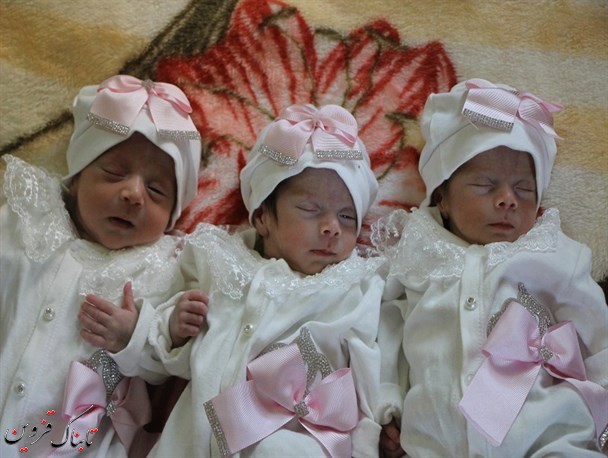 خانوارهای چند قلو در قزوین از خدمات بهزیستی خانوارهای چند قلو در قزوین از خدمات بهزیستی