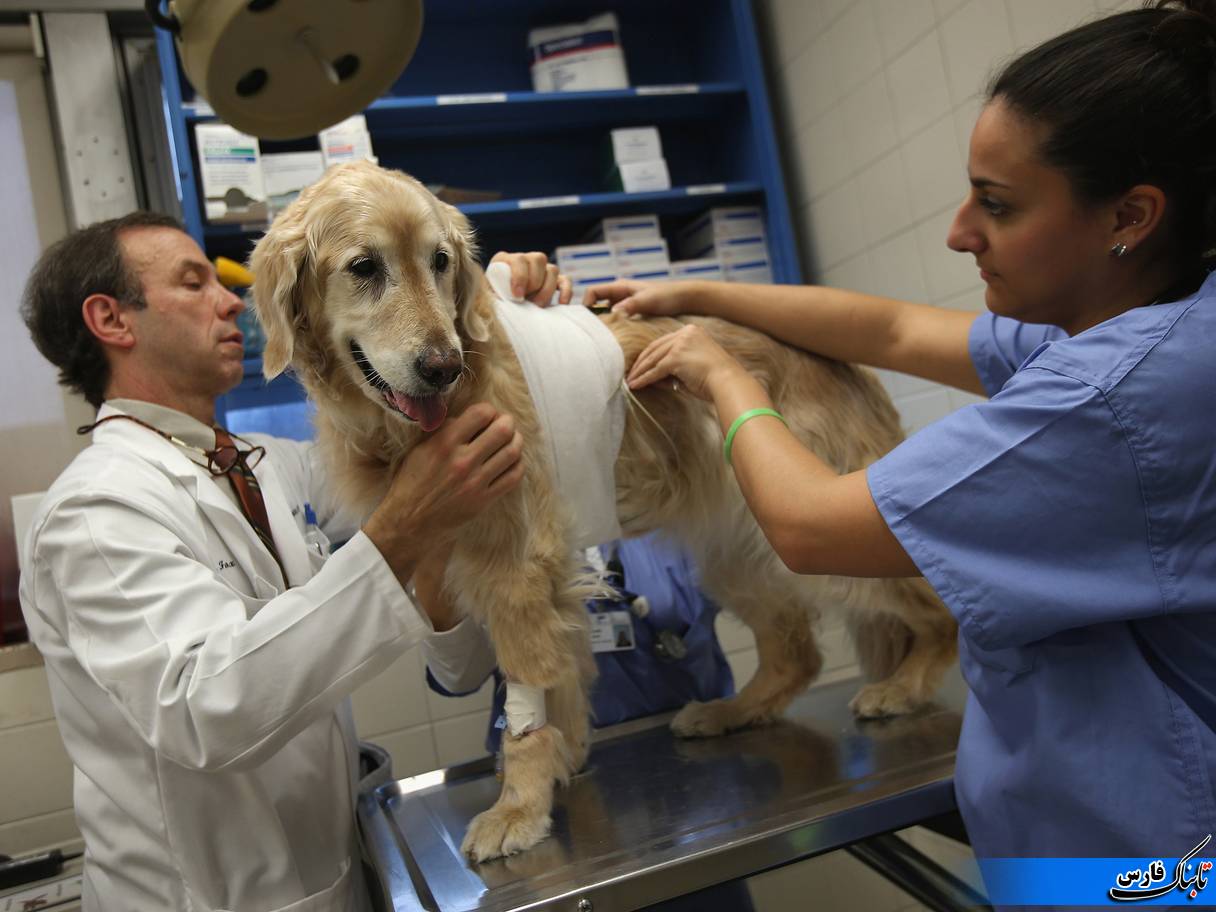 شغل هایی که سلامتی شما را تهدید می کند