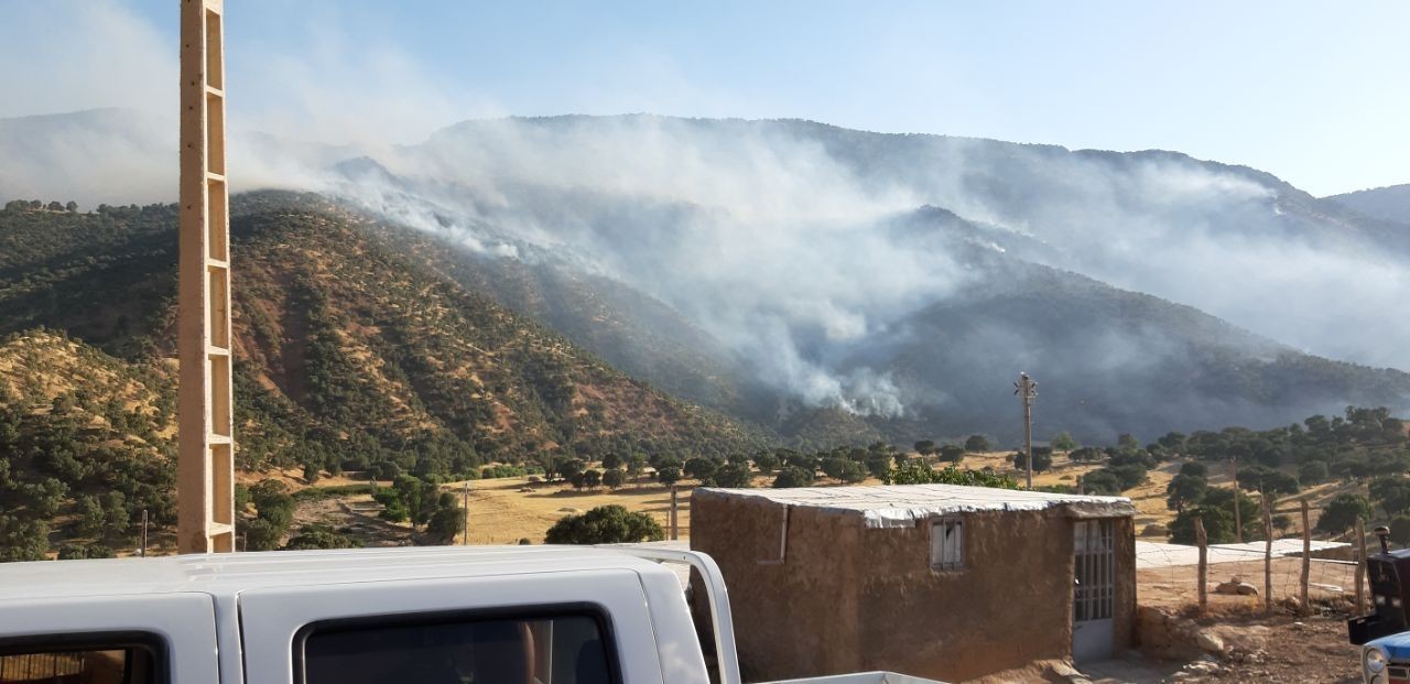 جنگلهای گیلانغرب در آتش سوخت