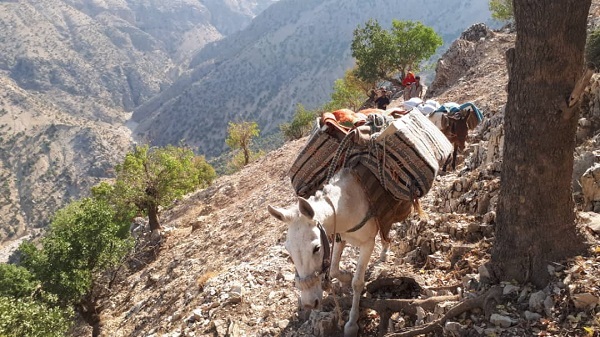 شادی هدیه کانون به کودکان مناطق محروم روستایی بخش سوسن