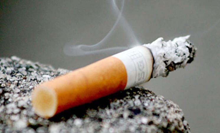 ایجاد اشتغال برای ۱۴۰ معتاد بهبود یافته در قزوین ایجاد اشتغال برای ۱۴۰ معتاد بهبود یافته در قزوین