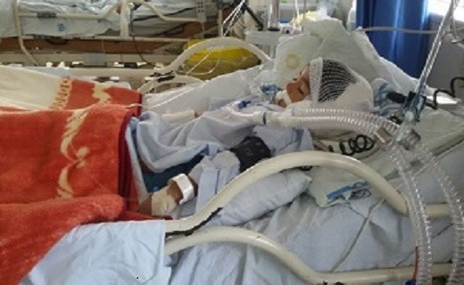 سگهای ولگرد همچنان در خیاباناند سگهای ولگرد همچنان در خیاباناند