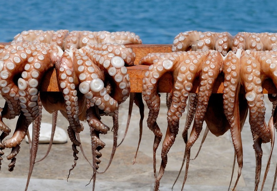 فروش آبزیان حرام گوشت در سطح شهر ممنوع است