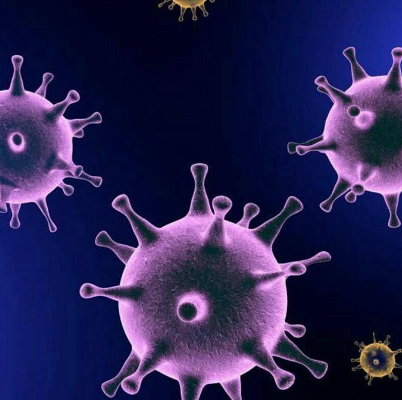 آمار مبتلایان به کرونا در قوچان به ۵۲ نفر رسید