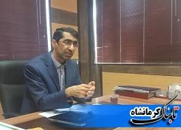 اندودکاری درختان شهر کرمانشاه با سموم آفت کش، چسب چوب و کائولن