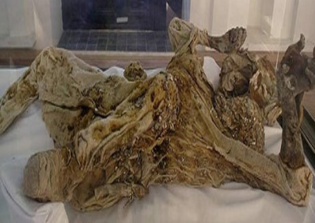 البسه مردان نمکی مرمت میشود البسه مردان نمکی مرمت میشود