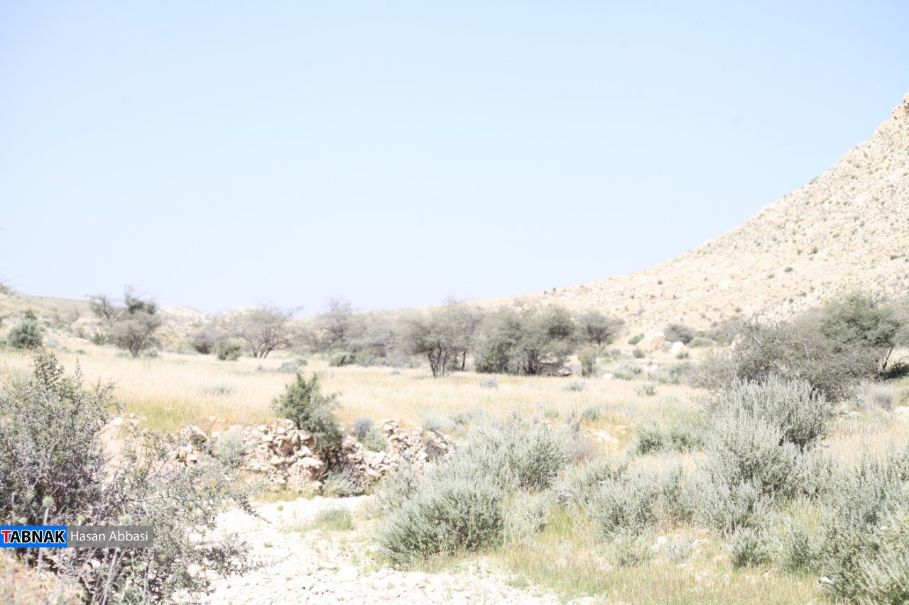 تنگ خلیل تنگ خلیل