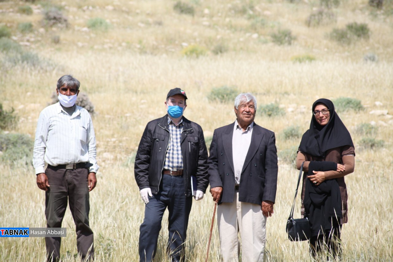 تنگ خلیل تنگ خلیل