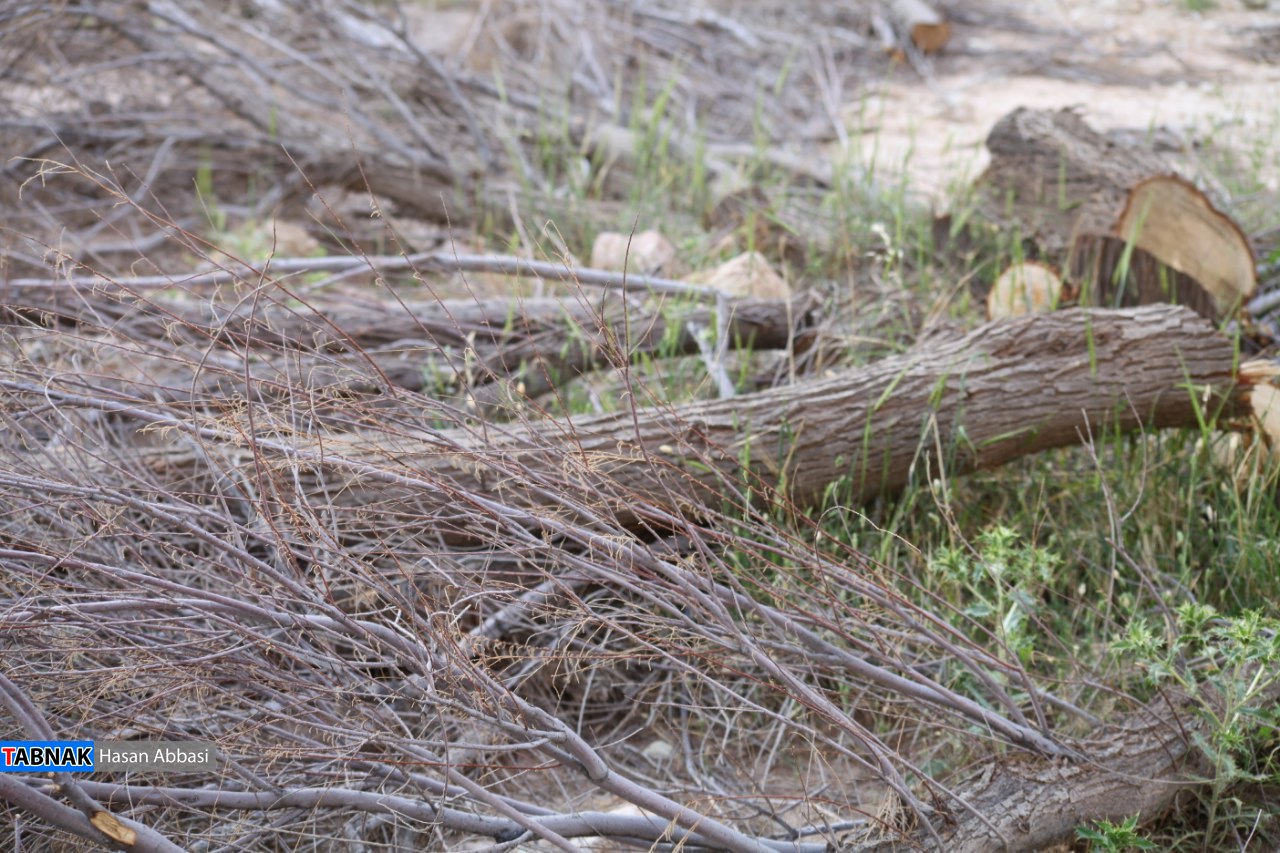 دره رهنو دره رهنو