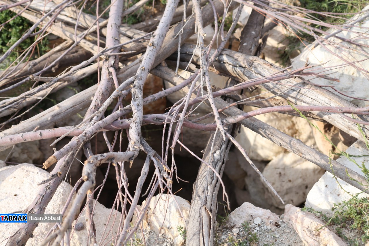 دره رهنو دره رهنو