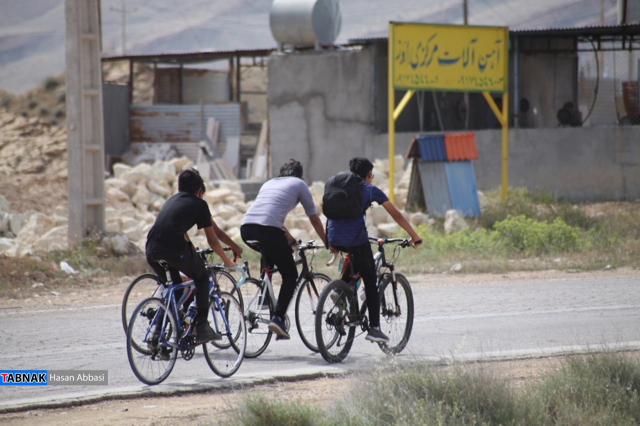 تاکدار تاکدار