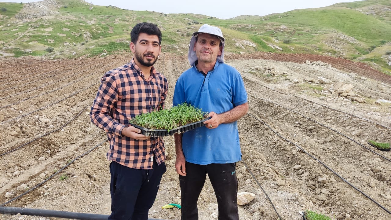 لنده، توان تولید « گیاهان دارویی» خود را افزایش میدهد/کاشت یک میلیون نشای گیاهان دارویی در سال ۱۴۰۱+تصاویر+تصاویر لنده، توان تولید « گیاهان دارویی» خود را افزایش میدهد/کاشت یک میلیون نشای گیاهان دارویی در سال ۱۴۰۱+تصاویر+تصاویر