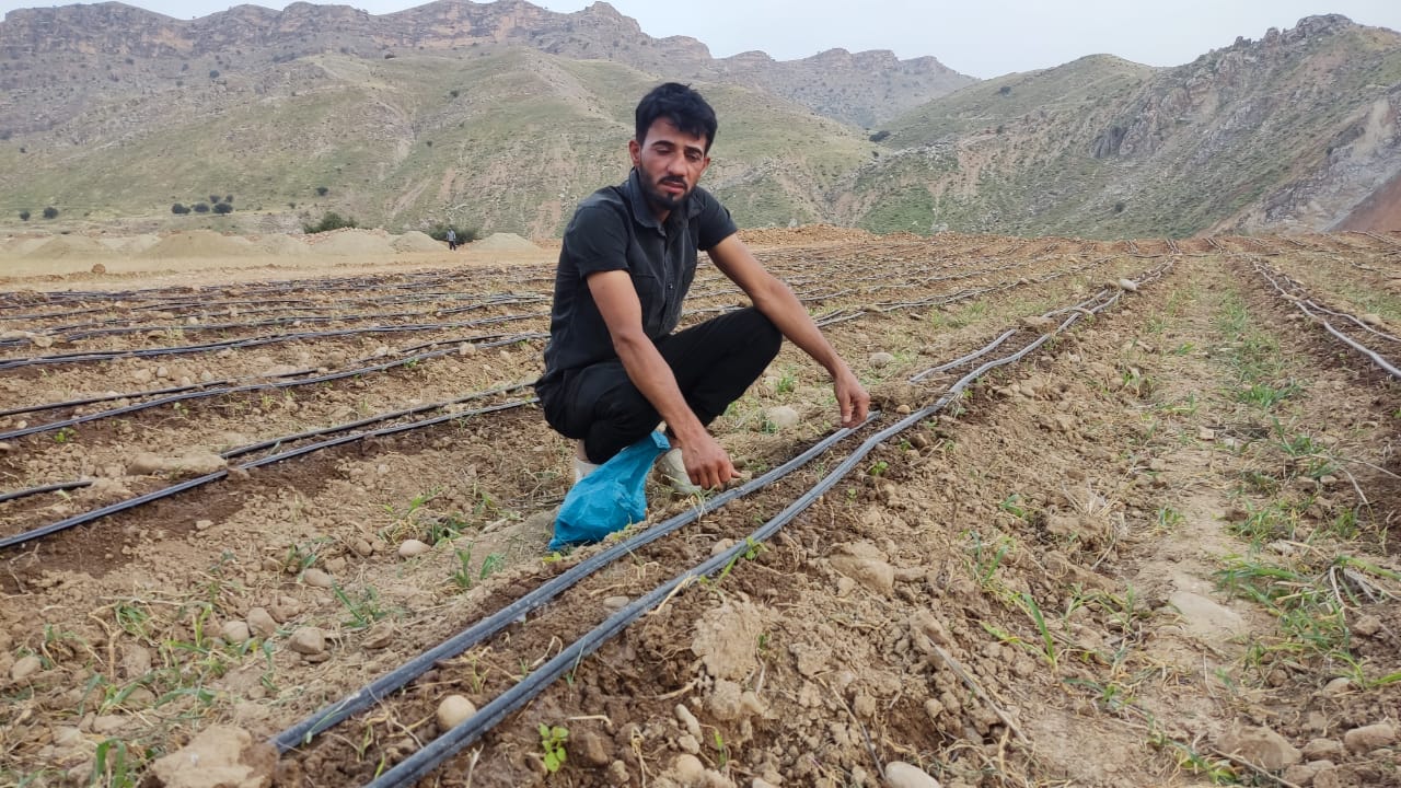 لنده، توان تولید « گیاهان دارویی» خود را افزایش میدهد/کاشت یک میلیون نشای گیاهان دارویی در سال ۱۴۰۱+تصاویر+تصاویر لنده، توان تولید « گیاهان دارویی» خود را افزایش میدهد/کاشت یک میلیون نشای گیاهان دارویی در سال ۱۴۰۱+تصاویر+تصاویر