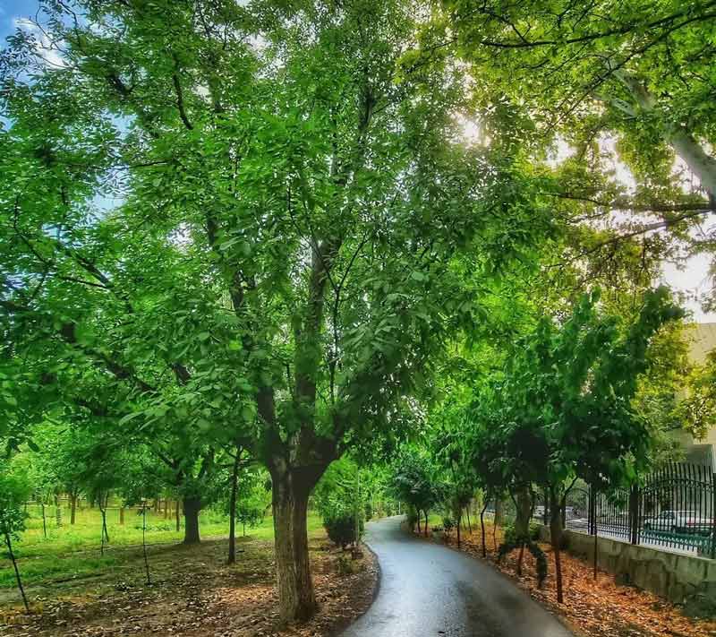 کرج برای تفریح کجا بریم؟ کرج برای تفریح کجا بریم؟