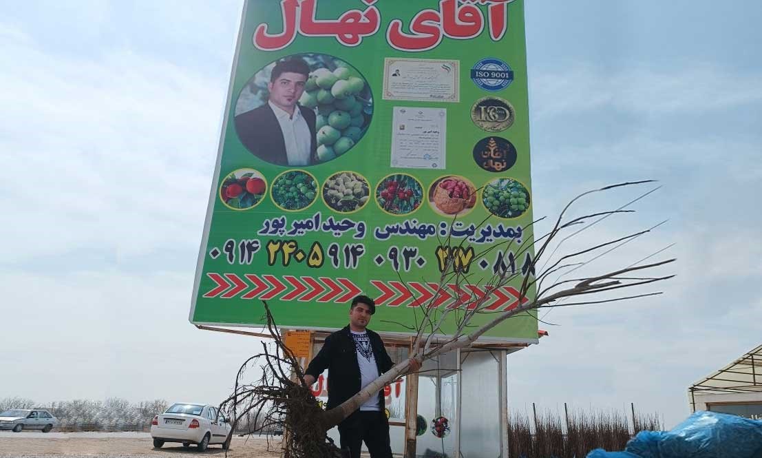 با خرید 100 عدد نهال 20 نهال و پک کود از آقای نهال هدیه بگیرید با خرید 100 عدد نهال 20 نهال و پک کود از آقای نهال هدیه بگیرید