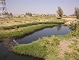 آبیاری ۷۰۰ هکتاری زمین‌های کشاورزی شیراز با پساب فاضلاب