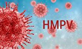 متاپنومو ویروس انسانی، تهدیدی جدی برای کودکان و سالمندان/شیوع گسترده ویروسی که واکسن ندارد
