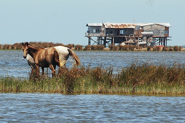 تابناک گزارش می دهد| نگین خزر در انتظار بازگشت بومیان/ دولت به وعده تازه خود برای «آشوراده» عمل می کند؟