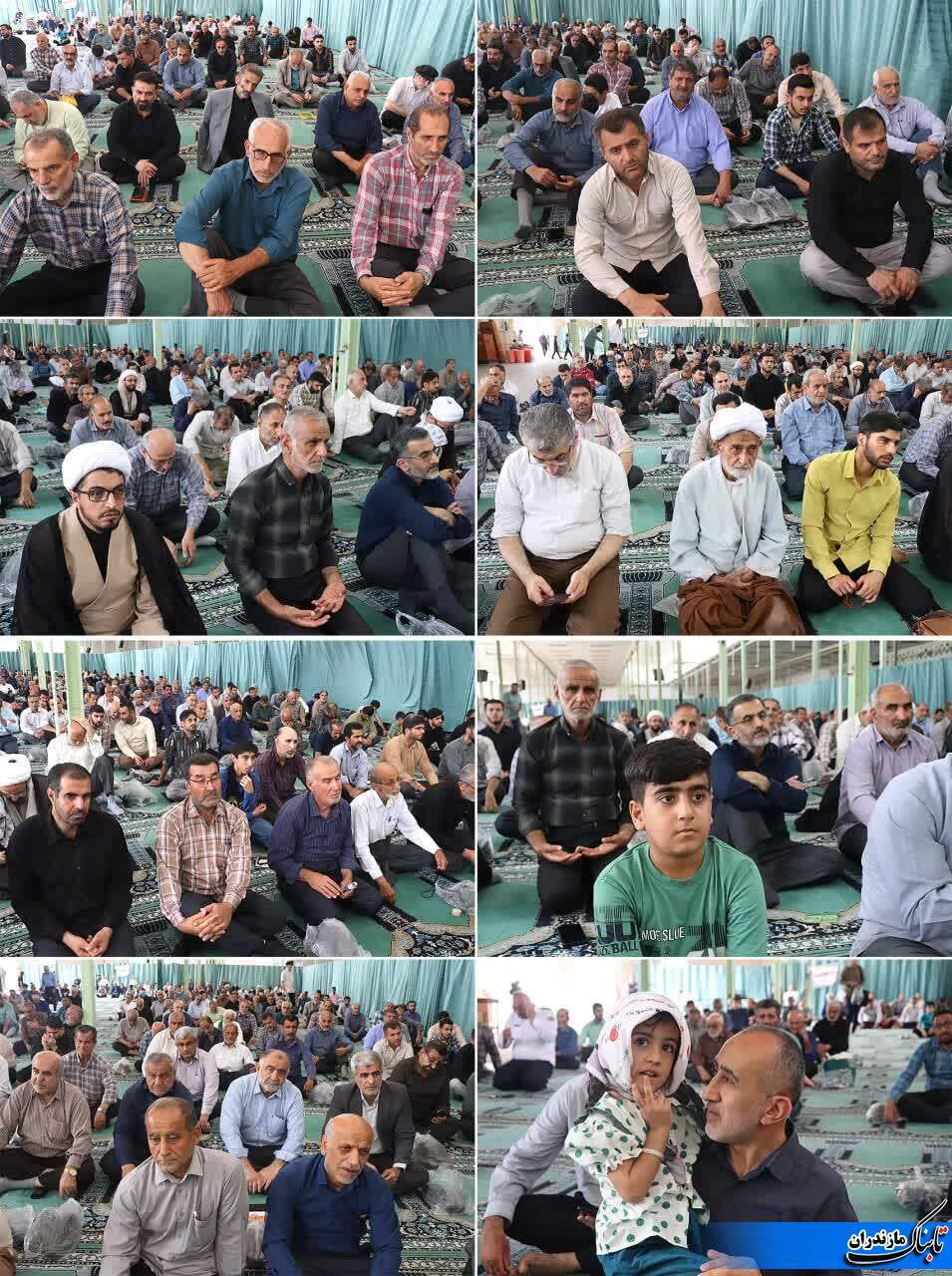 قتلِ سگِ هار در اسلام اشکالی ندارد/ برای کم شدن نسلِ سگ&zwnj;های دیگر به نحوی دیگر برخورد شود