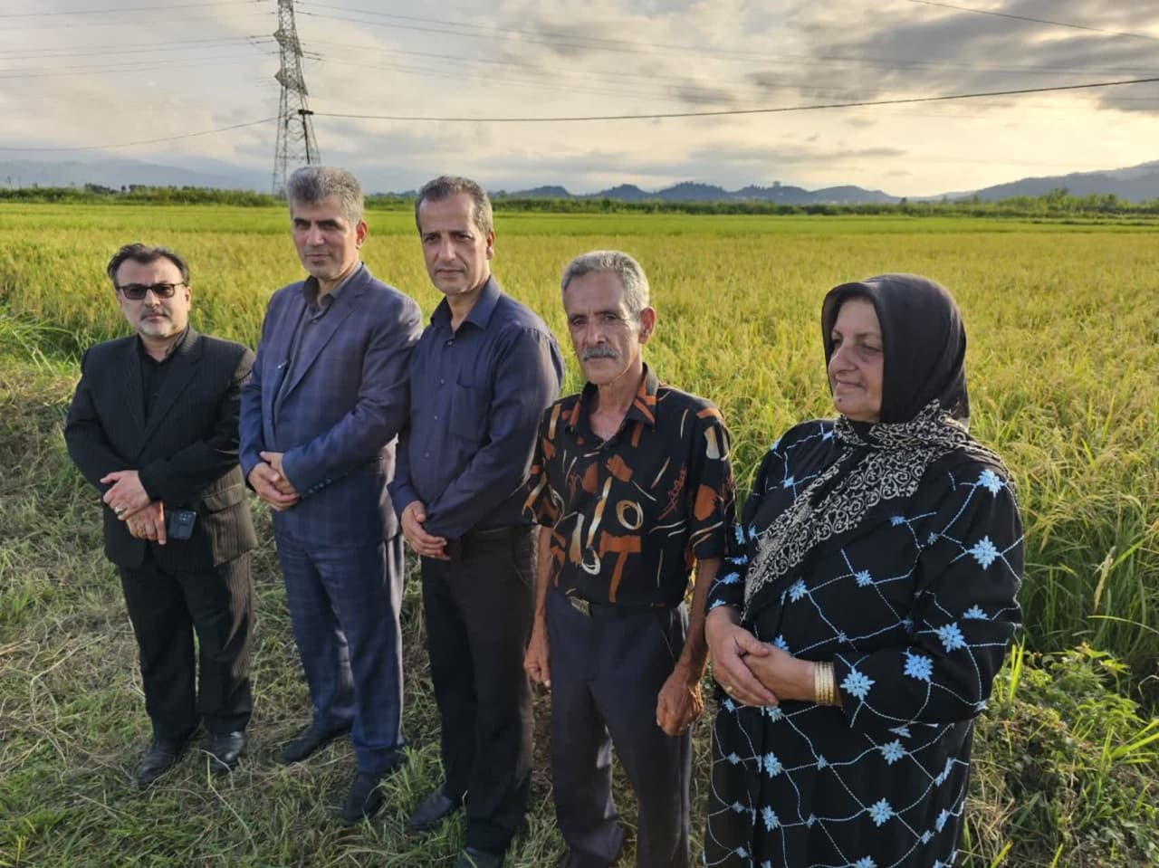 نخستین برداشت مکانیزه برنج از شالیزارهای رودسر با حضور استاندار گیلان