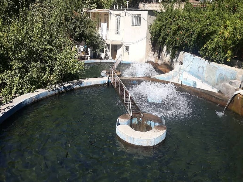 اختصاص ۹۰ دستگاه هواده اسپلش به مزارع پرورش ماهی در پاوه
