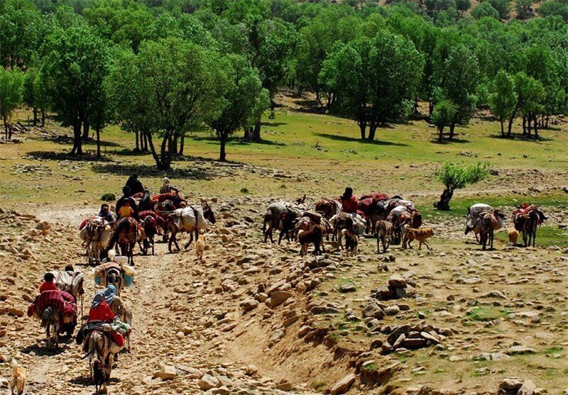 عشایر برای ورود به مناطق قشلاقی کرمانشاه عجله نکنند