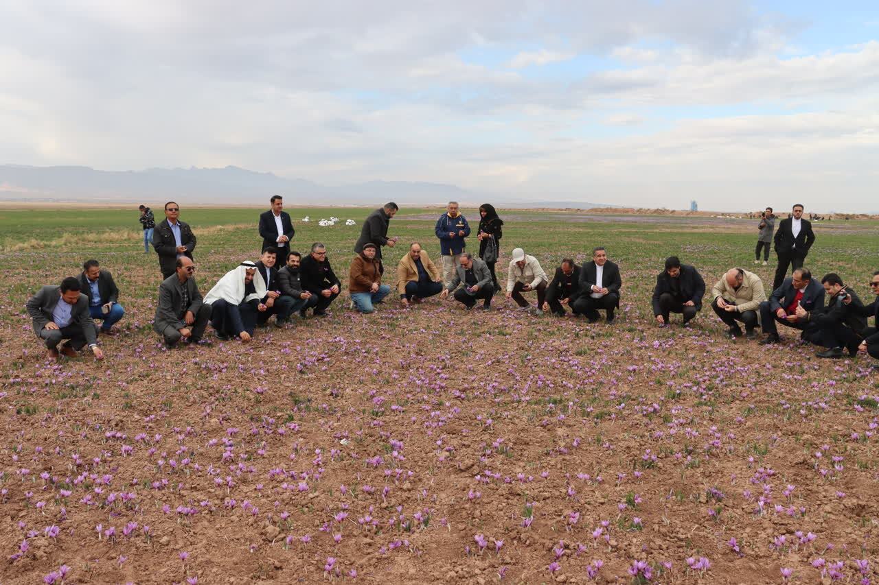 حضور سرکنسول‌های کشورهای عربستان، عراق، ترکیه و پاکستان در تور گردشگری مشهد - تربت حیدریه