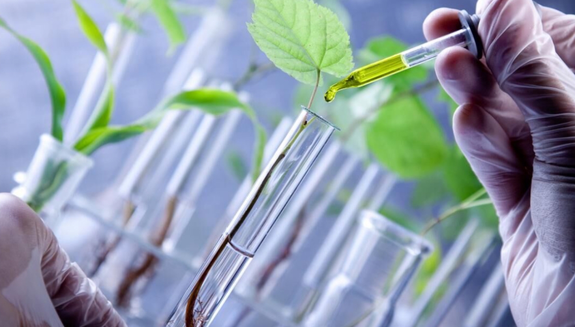 گنجینههای طبیعت؛ روز جهانی ذخایر ژنتیکی و زیستی گنجینههای طبیعت؛ روز جهانی ذخایر ژنتیکی و زیستی