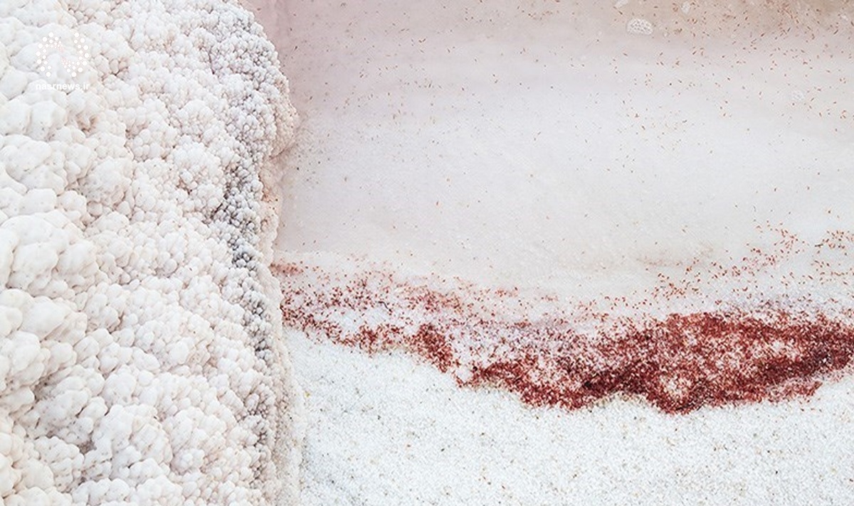 ضربه مهلک و جبران ناپذیر خشک شدن دریاچه ارومیه به پرورش و صادرات آرتمیا