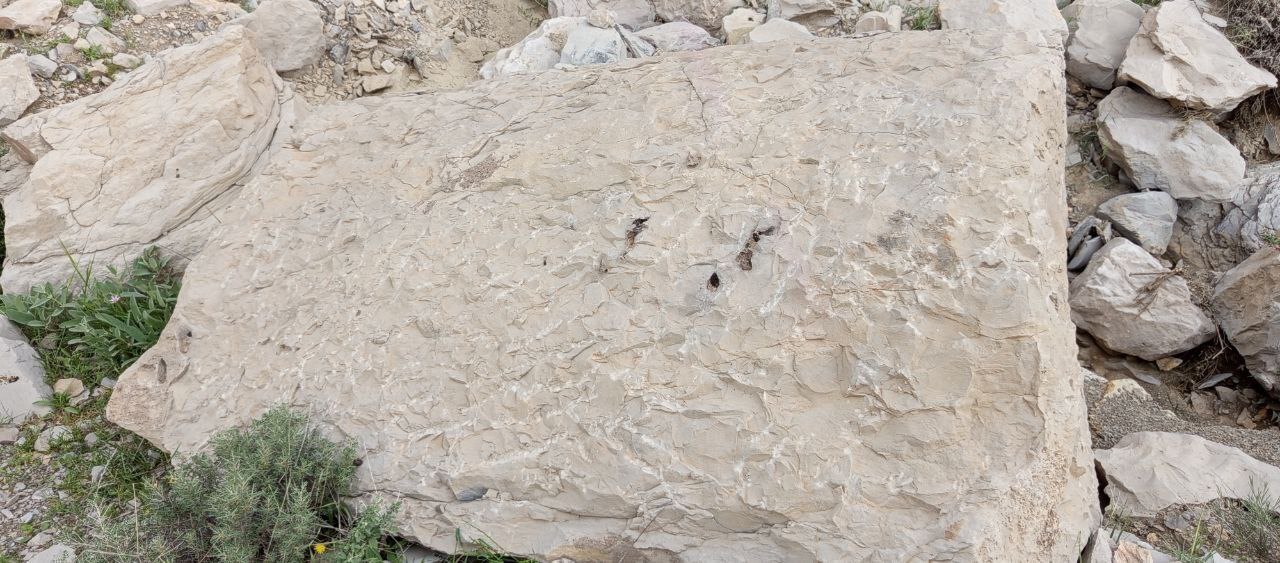 کاشف معدن گمشده هخامنشی در آبدانان چه کسی است؟ کاشف معدن گمشده هخامنشی در آبدانان چه کسی است؟