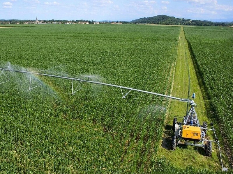 جهان خواهان محصولات غذایی ایرانی است/ 800 میلیون نفر در دنیا گرفتار سوءتغذیه هستند جهان خواهان محصولات غذایی ایرانی است/ 800 میلیون نفر در دنیا گرفتار سوءتغذیه هستند