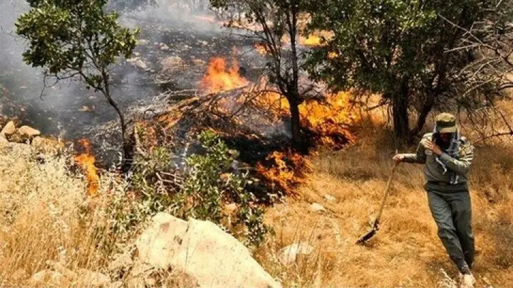 تلاش ها برای مهار آتش بدون وقفه ادامه دارد/آتش سوزی عرصه های جنگلی از شب گذشته