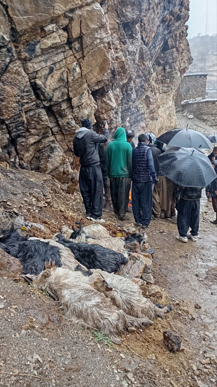 آخرین جزئیات ریزش کوه در هورامان تخت/ هفت رأس دام تلف و خسارت شدید به دو خانه وارد شد + تصویر آخرین جزئیات ریزش کوه در هورامان تخت/ هفت رأس دام تلف و خسارت شدید به دو خانه وارد شد + تصویر