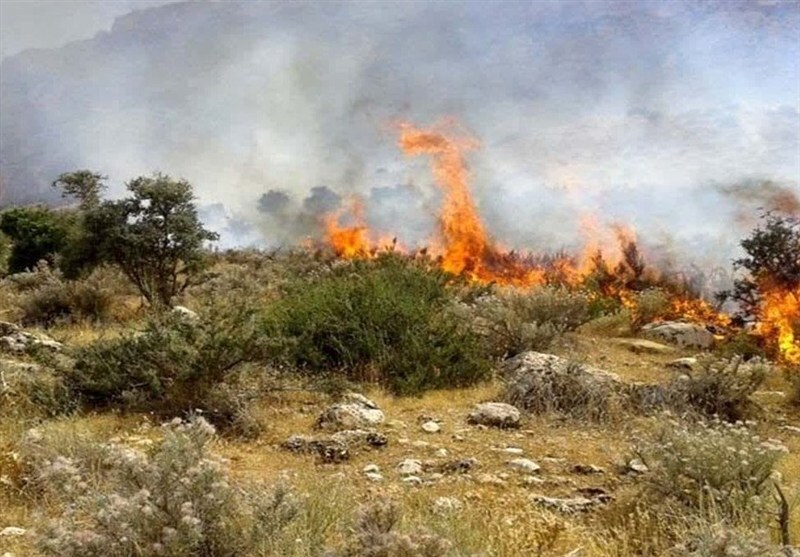 فعال شدن ۶ کانون آتش در جنگلهای هیرکانی گلستان/ درخواست بالگرد اطفای حریق فعال شدن ۶ کانون آتش در جنگلهای هیرکانی گلستان/ درخواست بالگرد اطفای حریق