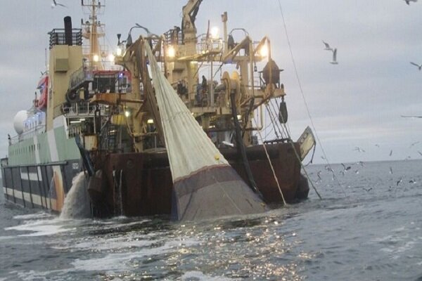 صیادان هرمزگان روی موج‌های بی‌ثباتی؛ وعده‌های تکراری، معیشتِ معلق