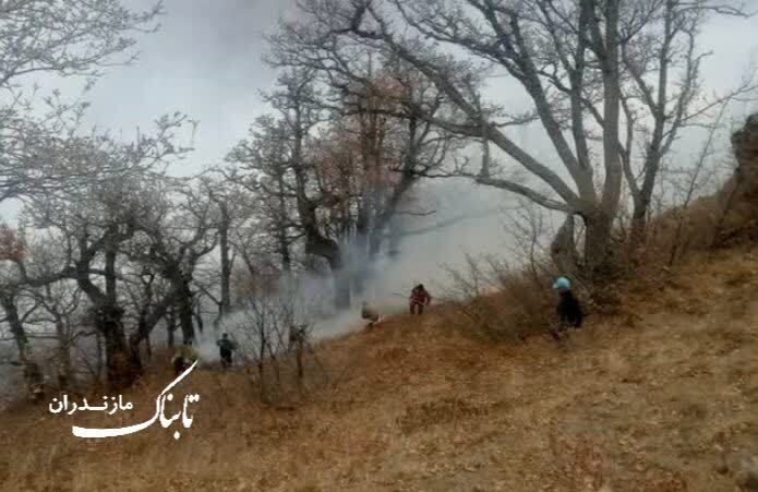 همه نیروها و بخشی از بالگردها همچنان منطقه در الیت چالوس حضور دارند همه نیروها و بخشی از بالگردها همچنان منطقه در الیت چالوس حضور دارند