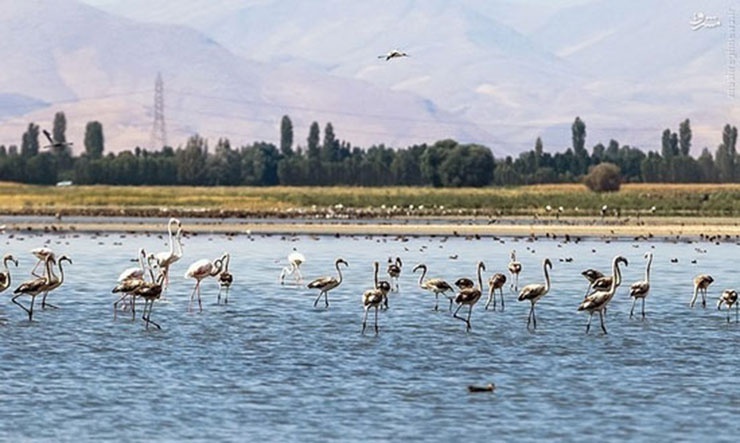 حجم آب ورودی به دشتهای آذربایجان غربی در سال آبی جاری به ۴۶۳۰ میلیون مترمکعب رسید حجم آب ورودی به دشتهای آذربایجان غربی در سال آبی جاری به ۴۶۳۰ میلیون مترمکعب رسید