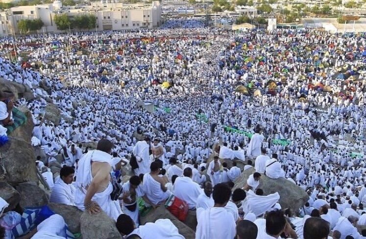 «عرفه»؛ جشن عروج «عرفان» در عرفات «عشق» «عرفه»؛ جشن عروج «عرفان» در عرفات «عشق»