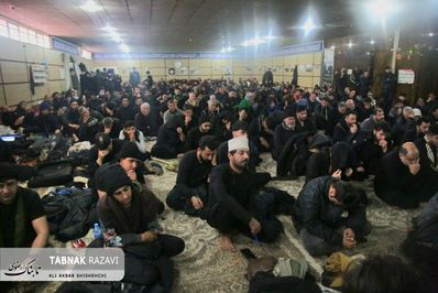 گزارش تصویری زائران پیاده عراقی